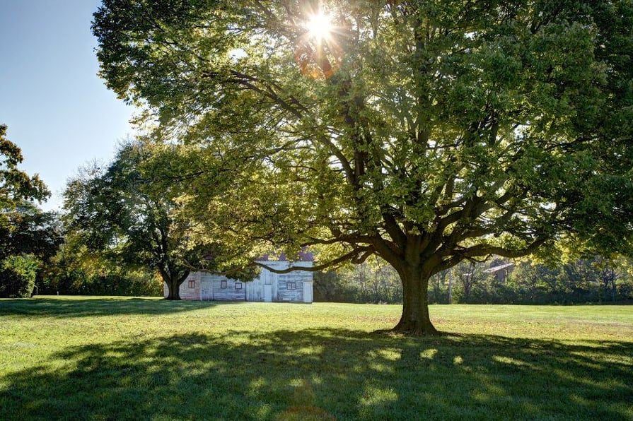 Overcoming the 5 O’clock Shadow: 5 Things to Consider Before Installing Solar Panels